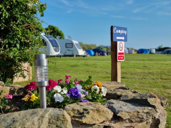  at Pumllog Farm Campsite 