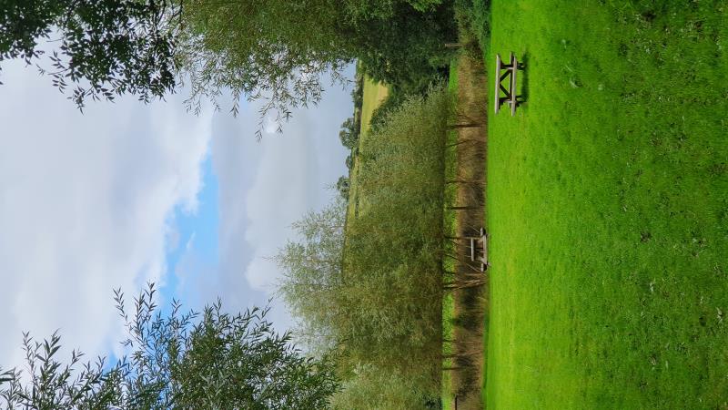 camping field with views