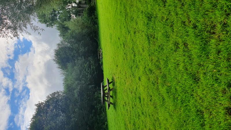 camping field picnic benches