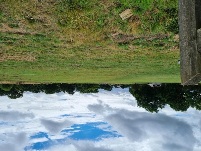 Lots of space between pitches on meadow grass