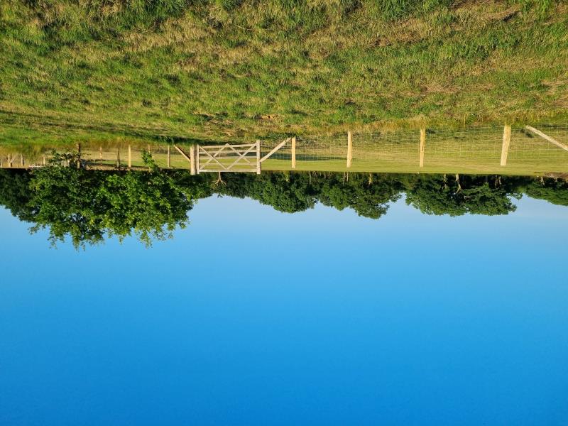 Walking Field Beyond Campsite