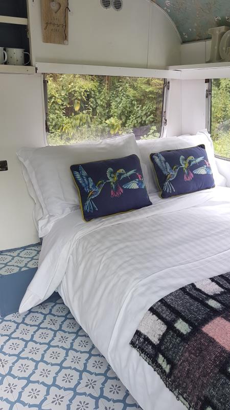 Comfy beds