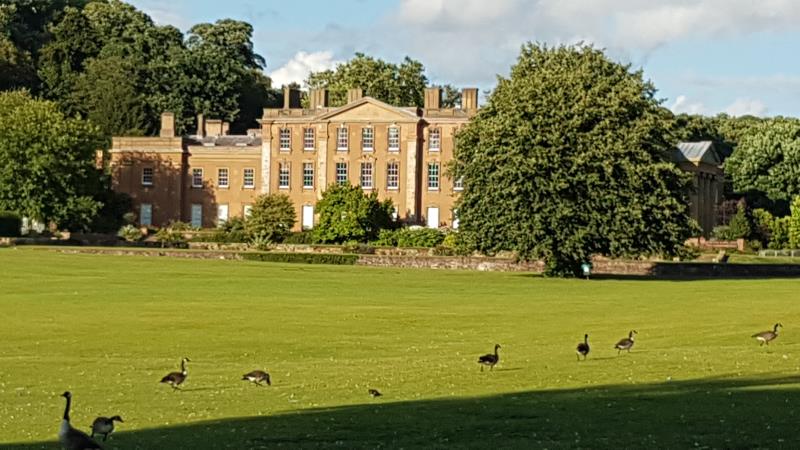 The Hall next door