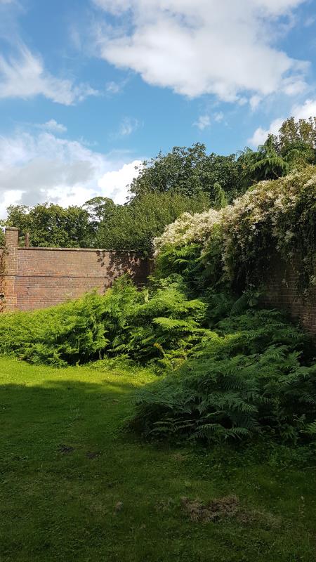 The walled garden