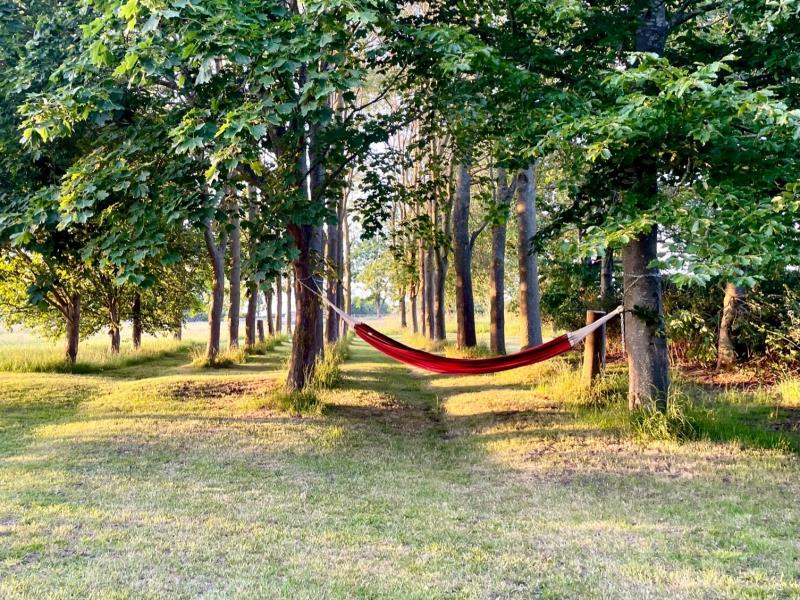 Hammock