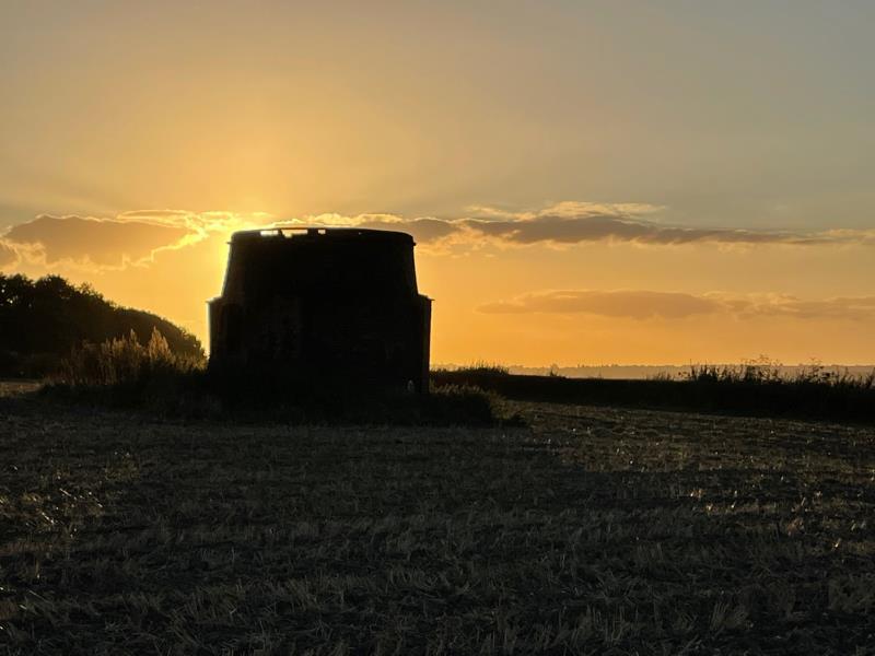 Our mill