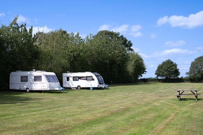 Well cared for pitches