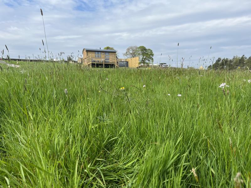 Shepherds Huts with hot tubs