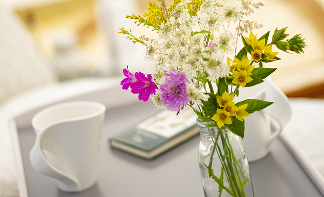 Glamping Tent Chester