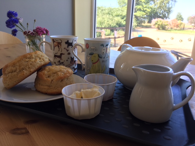 cream tea in the on site tearoom