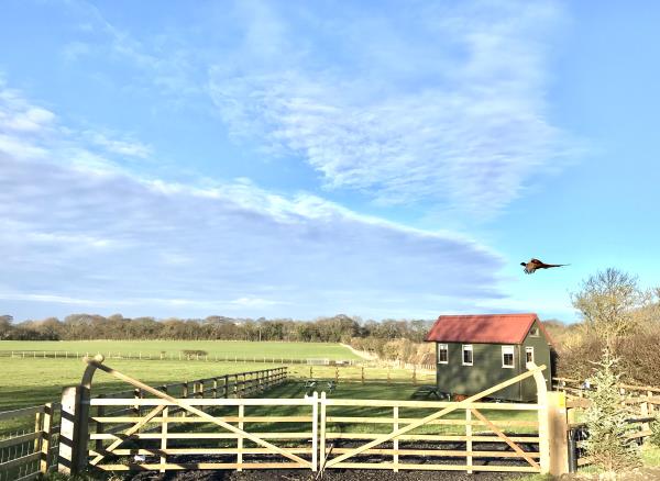 Tiny house in its own paddock at Westfield Farm