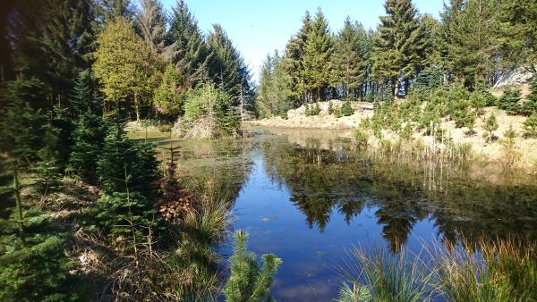 MAIN at NobleWood Camping