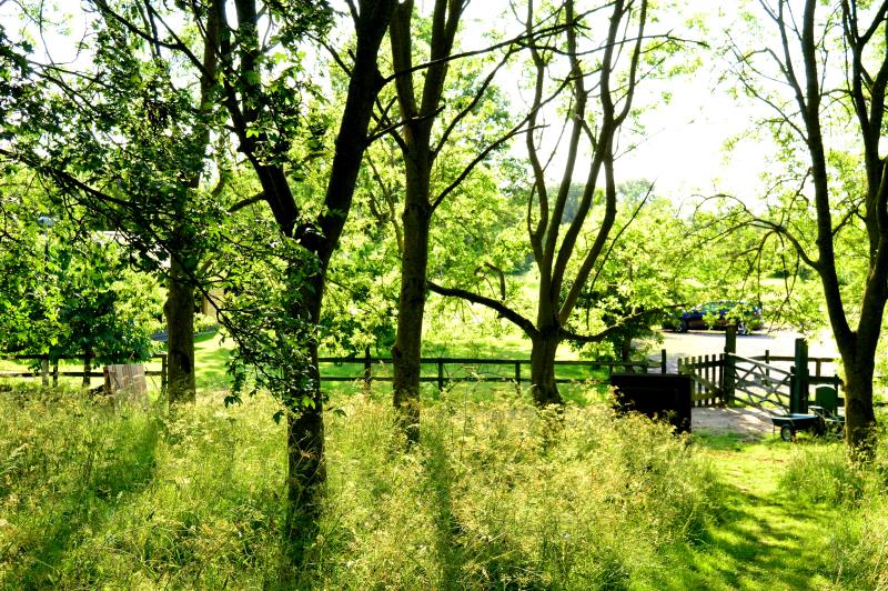Camp view