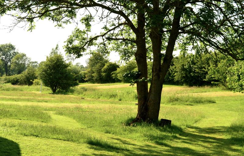 Camping Field