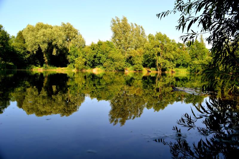 Lake view