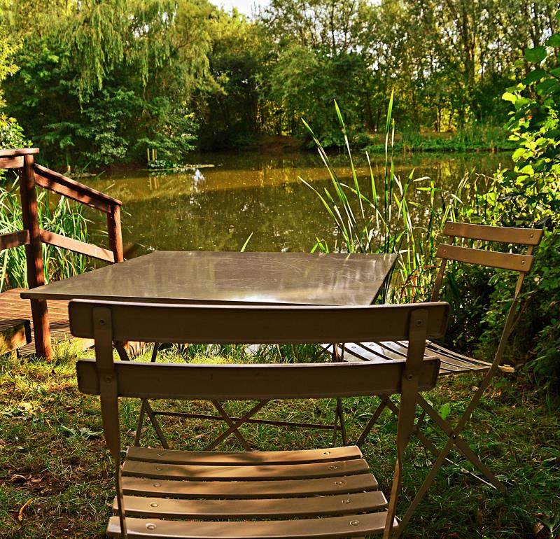 Lake view