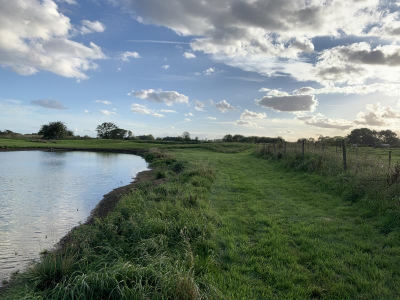 Pond Walk