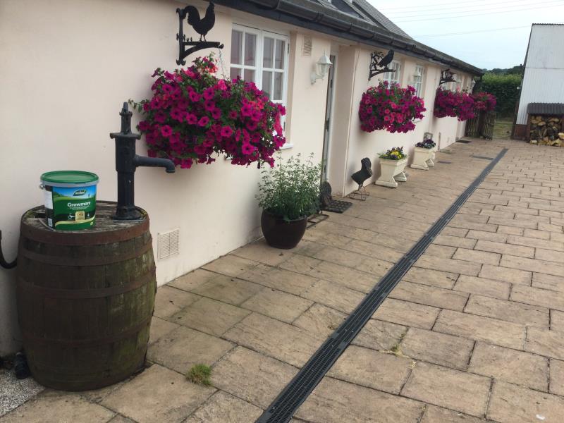Beautiful baskets