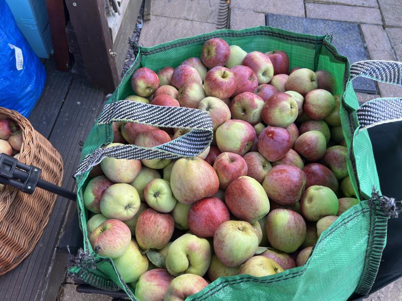 Apple day