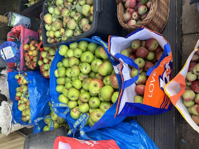 Apple pressing