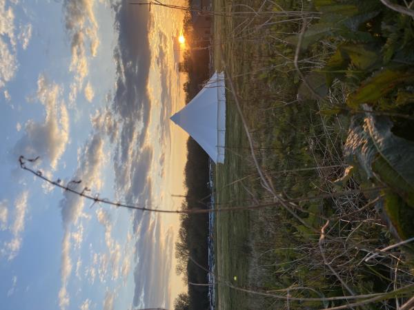 Sunset over the Bell Tents at Oakwood Marina