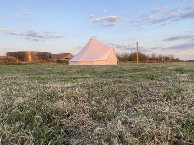 Soak up the sunshine