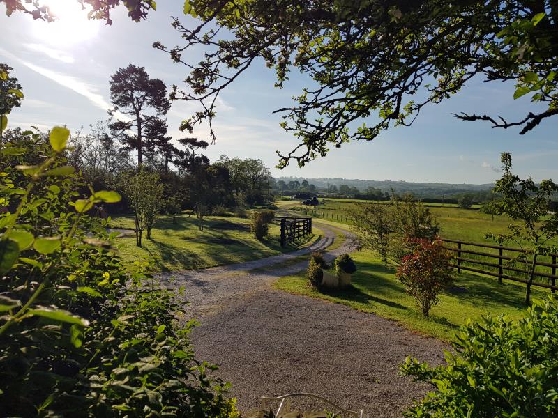 View of site