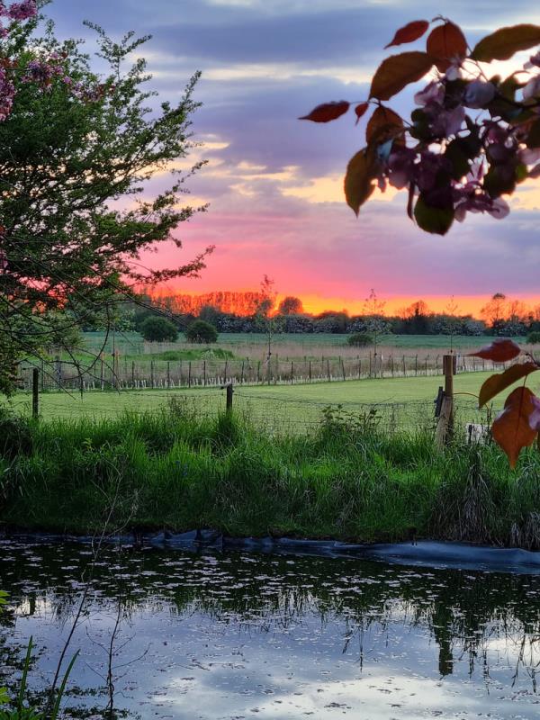 Beautiful sunset taken from our pond paddock