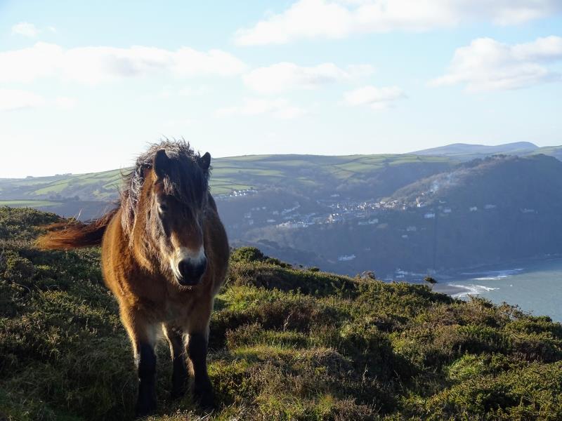 View from foreland towards Lynmouth