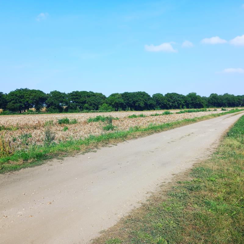 Track to and from the Campsite