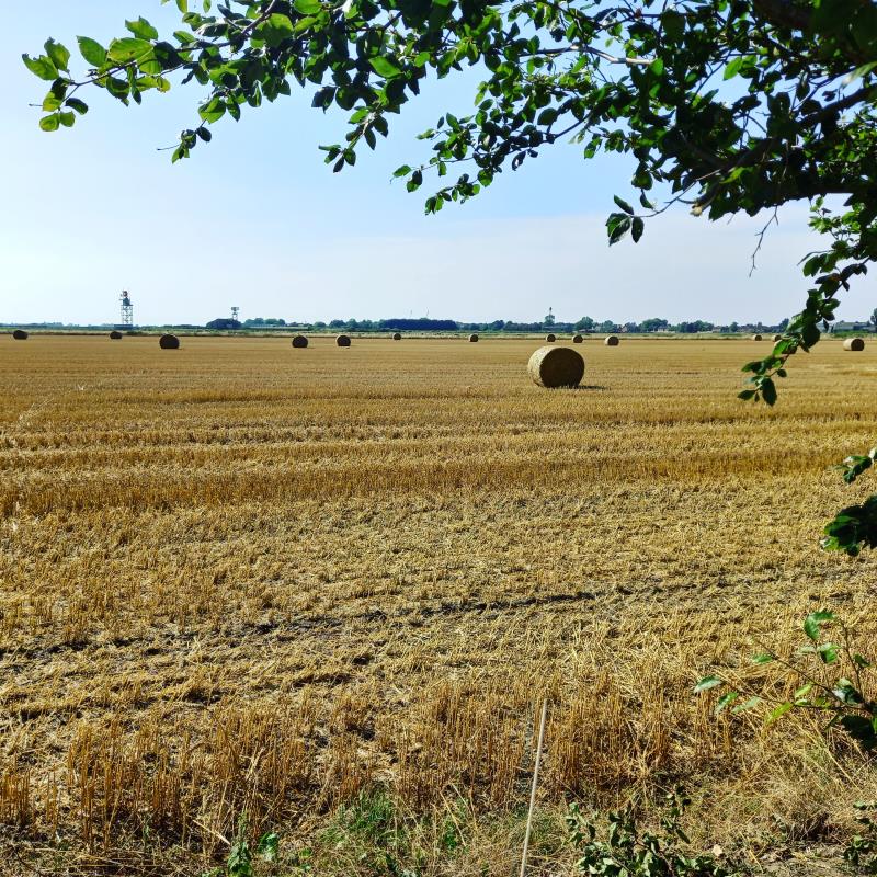 View from Pitches 4 