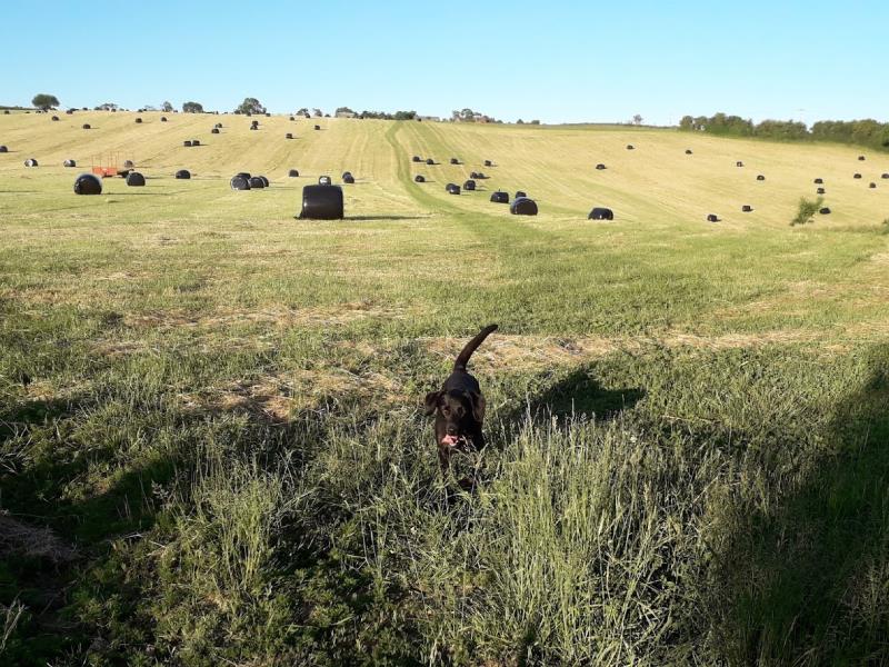 site top of hill