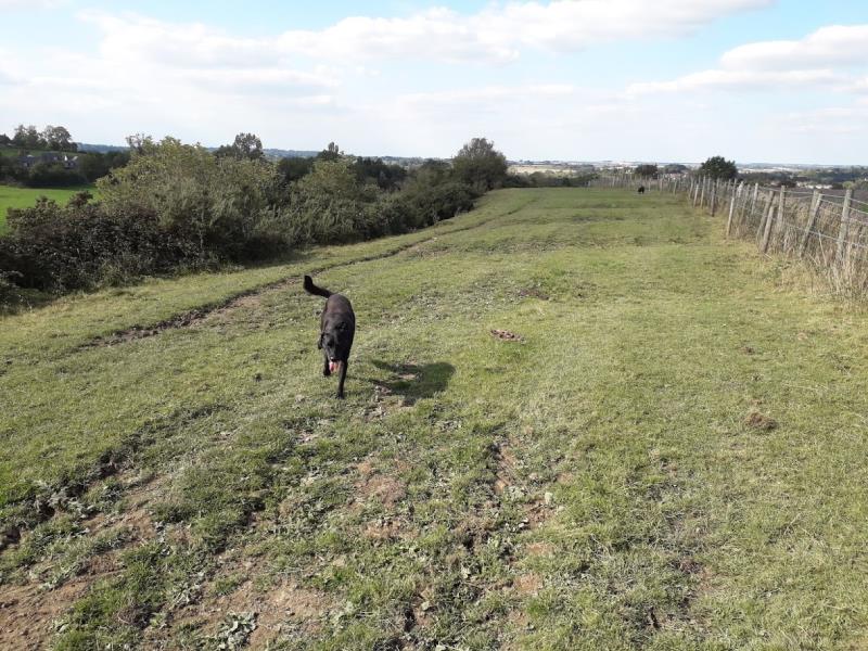 farm walks