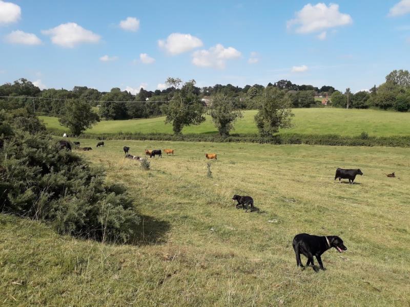 Gosse banks on farm