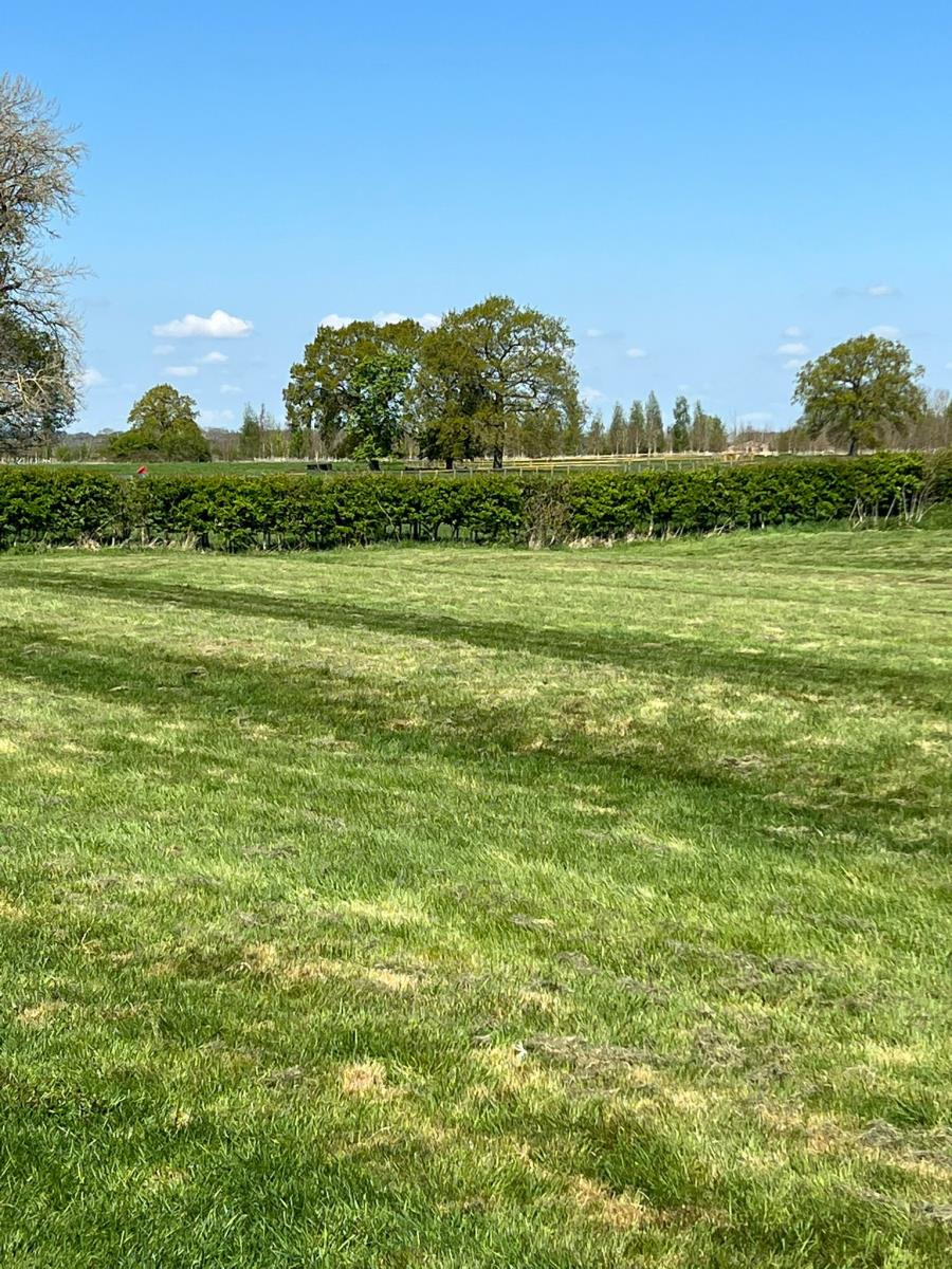 Camping field