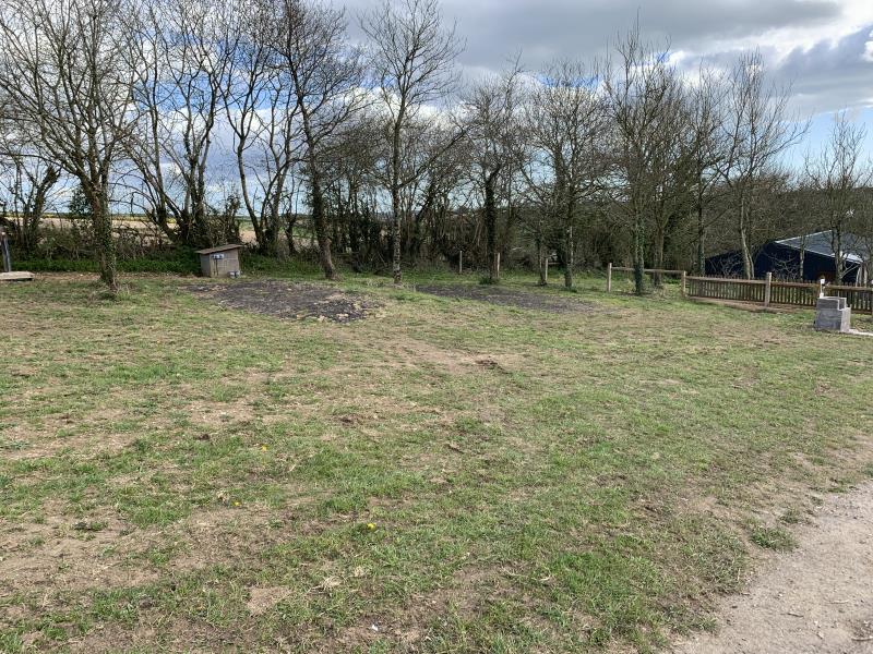 Pear tree farm