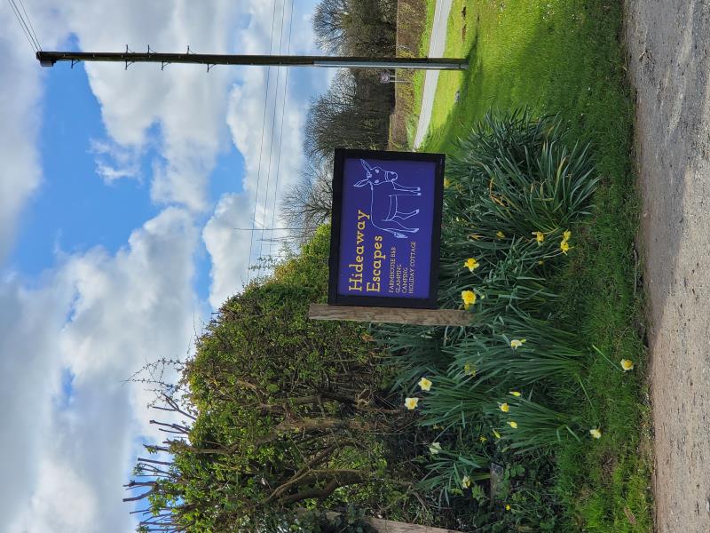 Our lane