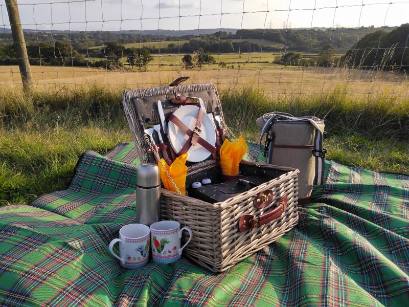 Picnics