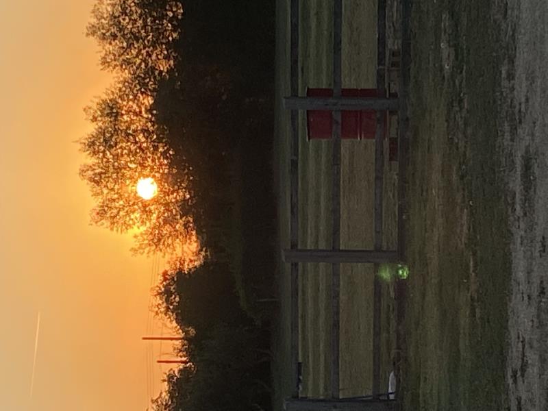 Sunrise