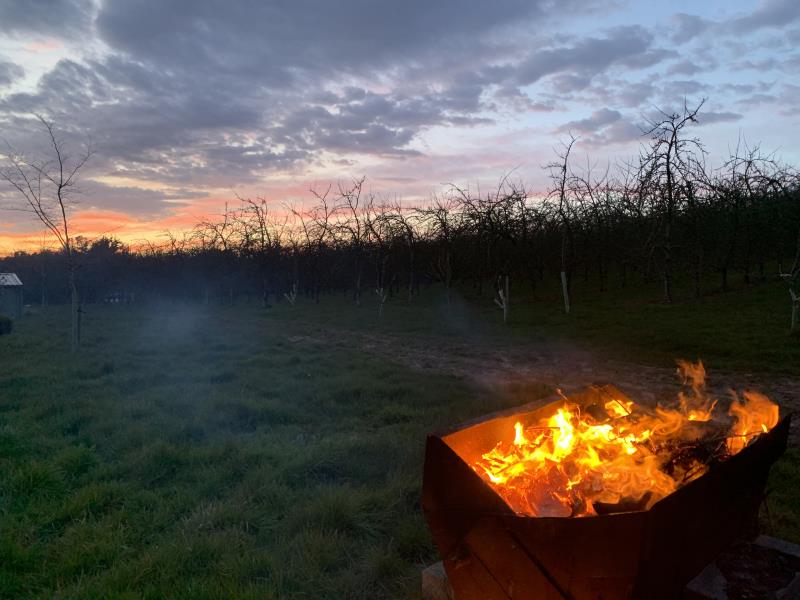 Camp Fire