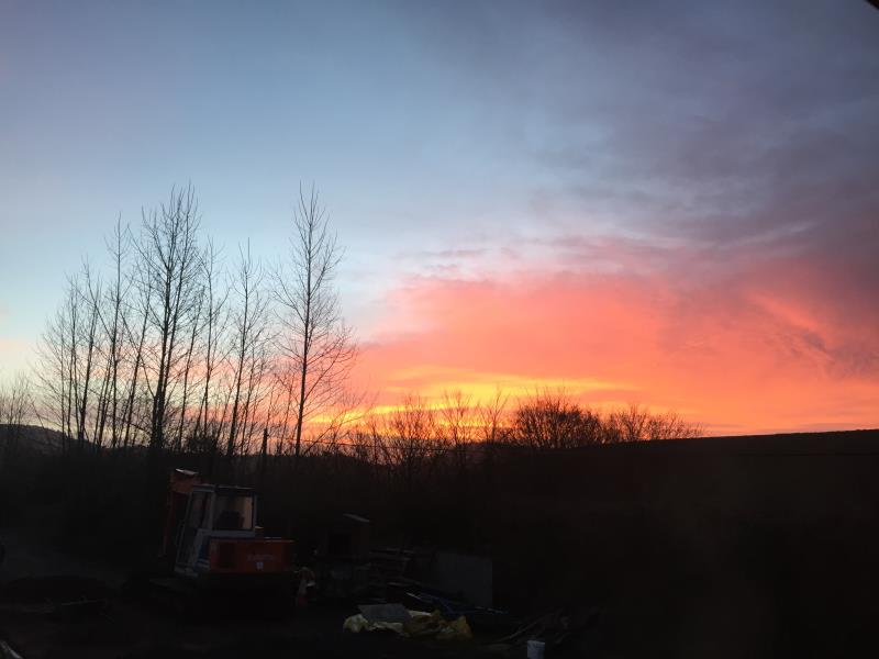 Orchard Sunset