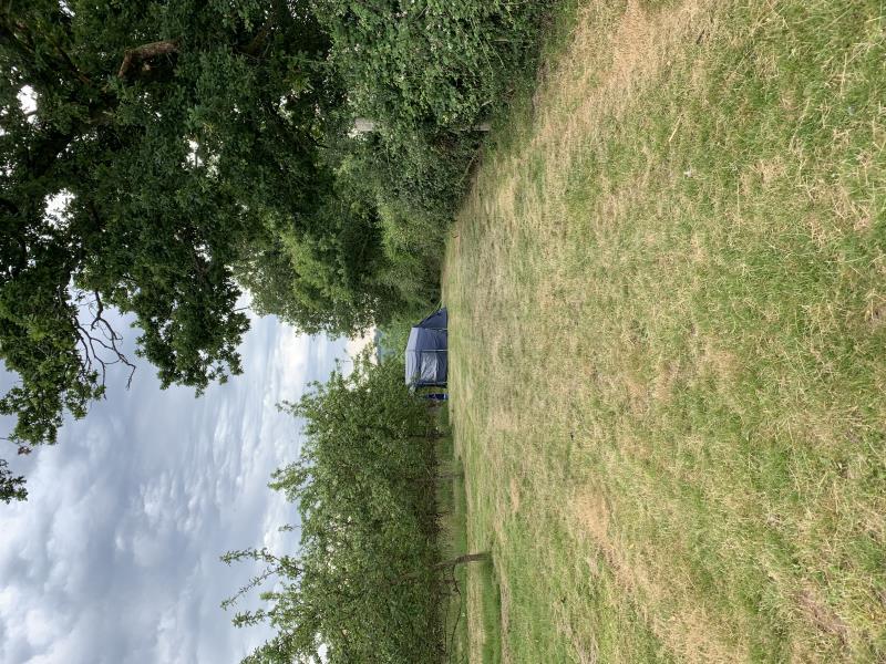 Tent in the orchard