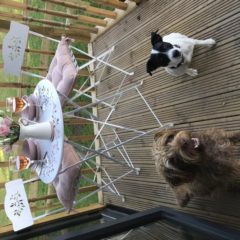 Enjoy the decking of the hut