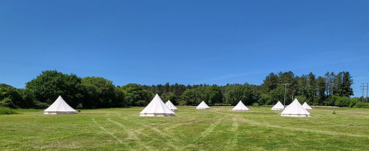 Open Fields and Bell Tents with lots of space to enjoy