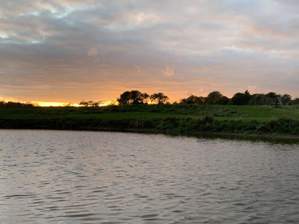 Pond Sunset at Bain View Glamping