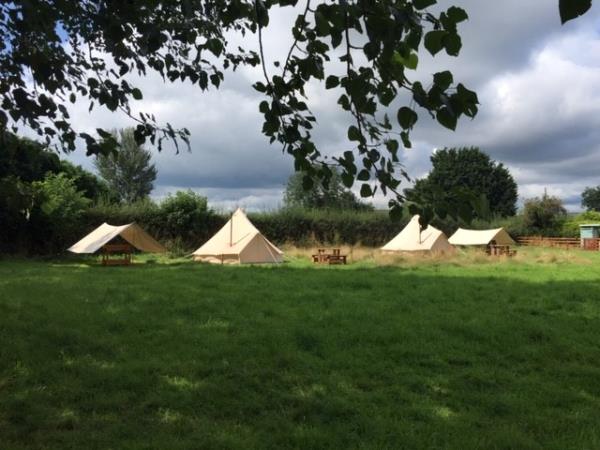 Camping Field with Bell Tents at Hayfield Glamping and Camping 