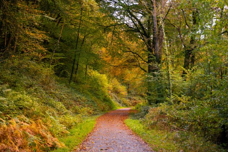 tarka trail in autumn