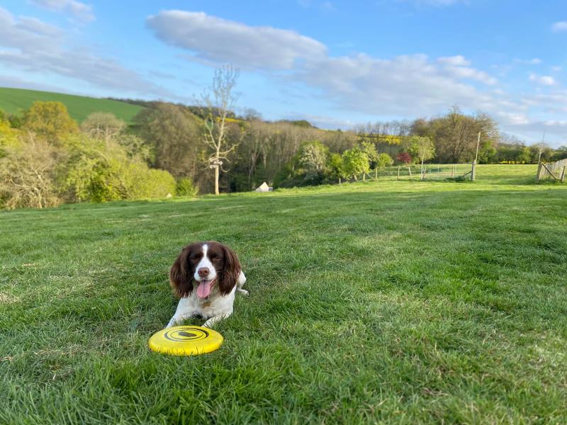Frisbee time