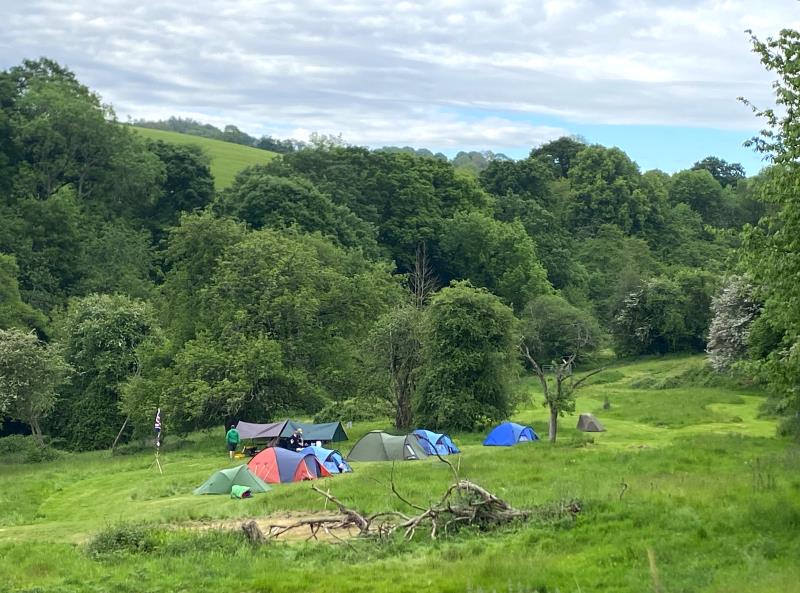 A local Scout Troop making the most of the wild-er side