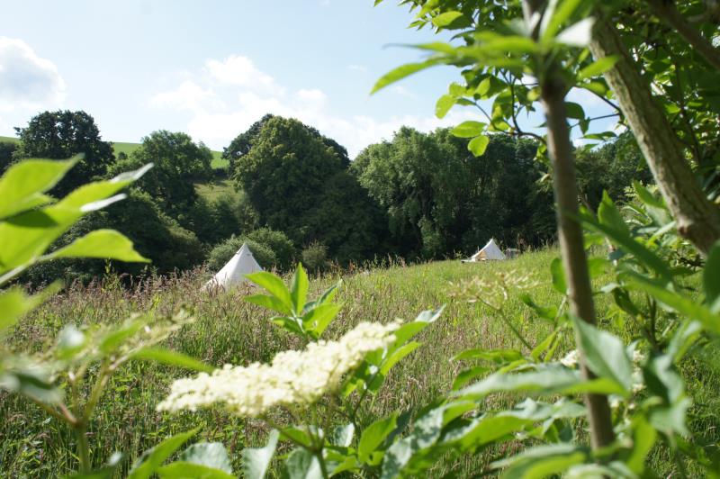 The beautiful bell tents